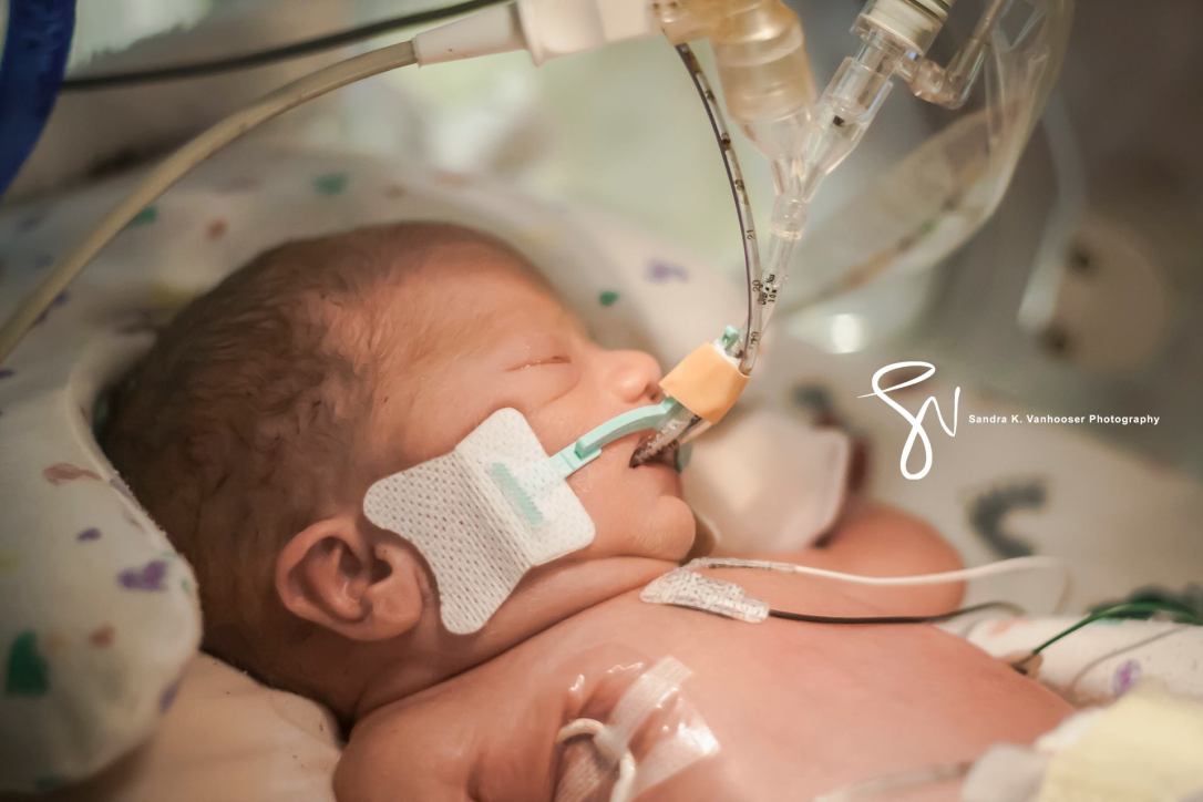 18789849_10100202601204044_1638496815_o[1]