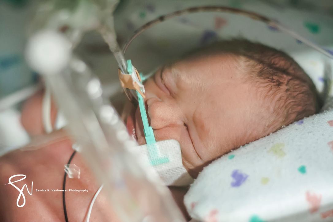 18789889_10100202589796904_235776615_o[1]